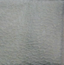 100% Polyester PV Plush Sofa Fabric with Brushing Decoration