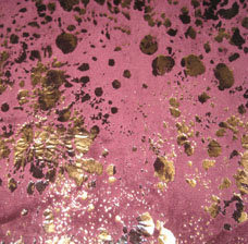 Gold Stampingvelvet of Sofa Fabric