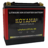 12.8V 6ah LiFePO4 Motorcycle Battery LFP14L-BS