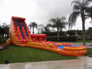 New Giant Inflatable Hippo Slide Water Slide for Seaside