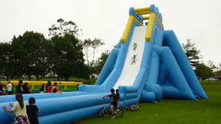 Largest Inflatable Hippo Water Slide for Adult