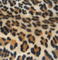 Hot Sale Printed Velvet Fabric for Sofa with Different Pattern