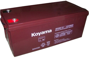 NP Series-VRLA AGM BATTERY 