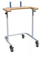 Walking Aid (model BT-FBQ-3)