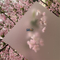 Semitansparent Scratch Resistance Polycarbonate Film