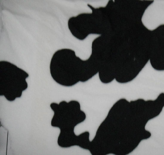 Printed Polyester Fabric of Textile