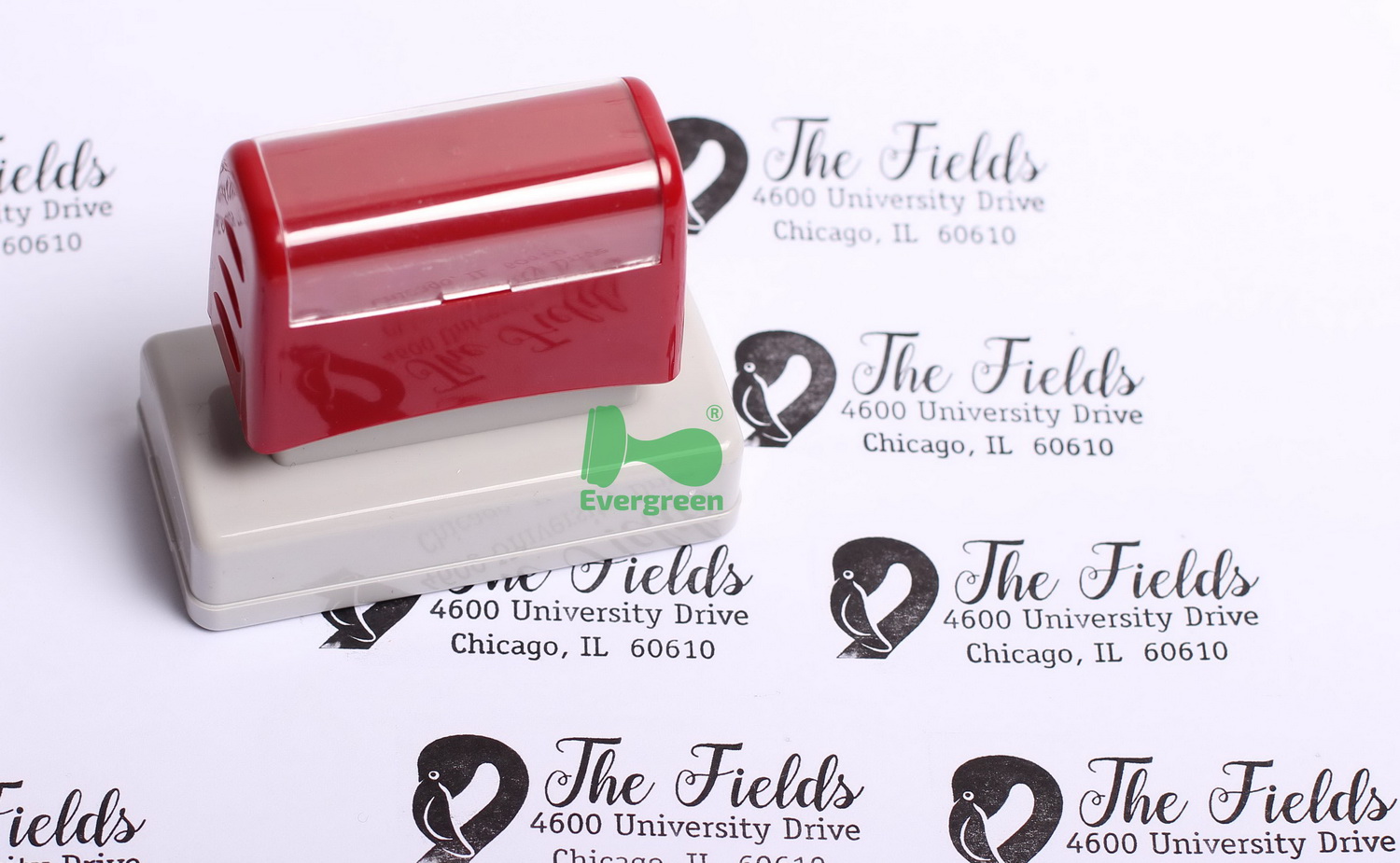 Pre inked flash stamps F-series Rectangle 
