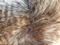 peacock imitation fack fur