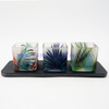 Various Pattern Translucent Square Tropical Rainforest Glass Candle Jar
