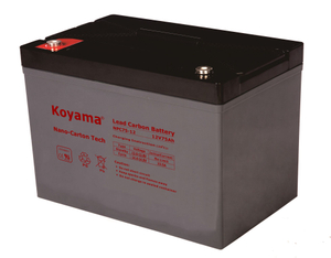 12V 75AH High Quality Deep Cycle Lead Carbon Battery NPC75-12