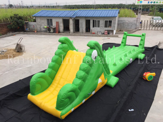 RB33010(10x2x3m) Inflatable New crocodile water game for adult