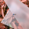 Matte/Polished Transparent Polycarbonate sheet