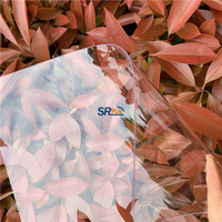 250 Micron Polished Polycarbonate Sheets