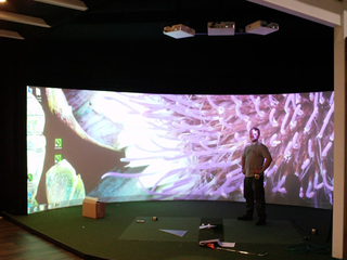180 degree Customized Large Curved Projection Screen for Flight Simulator System