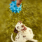 The Natural Pet Dog Rope Toy