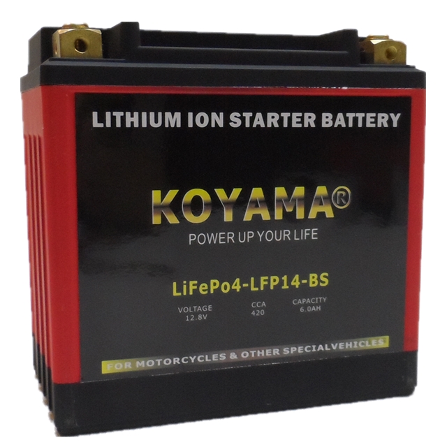 12.8V 6ah Factory OEM LiFePO4 Motorcycle Battery LFP14-BS