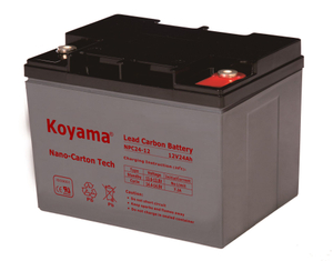 12V 24AH High Quality Deep Cycle Lead Carbon Battery NPC24-6