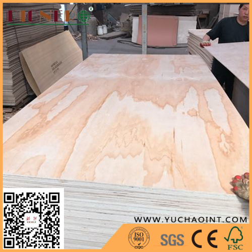 E1 Glue RadiatePine Poplar/Eucalyptus Core Commercial Laminated Plywood