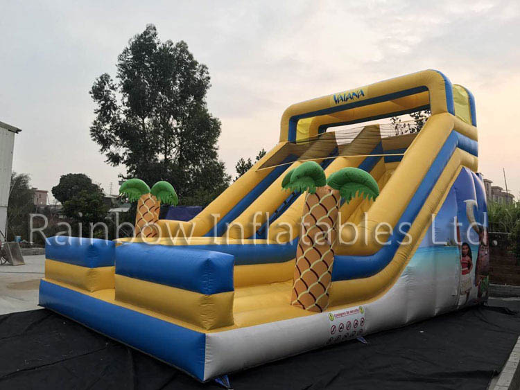 RB6090 (8x5x7m) Inflatable The theme of romance dry Slide 