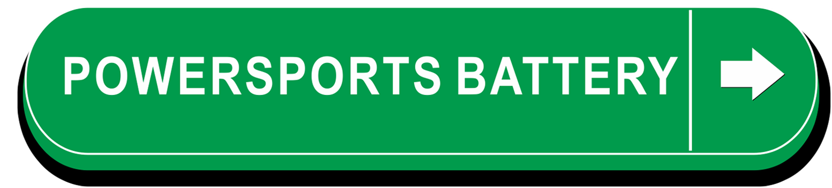 POWERSPORTS BATTERY ICON-1