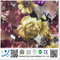 Haihning Keete High Quality Customized Textile Printed Factory Price Digital Print Fabric Design