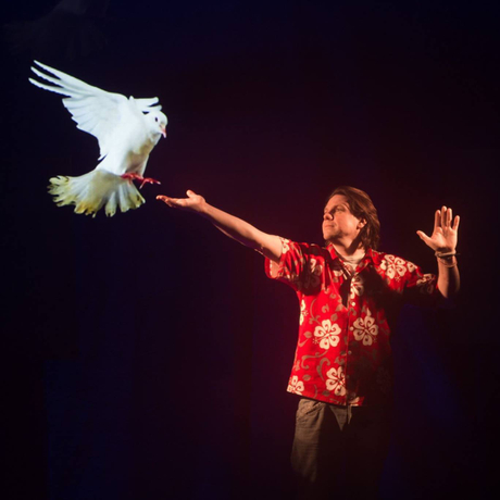 20x5 Meter Full HD Grey 3D Holo Gauze Screen Holographic Mesh Screen