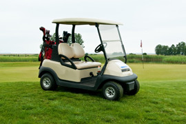 Golf Car Battery
