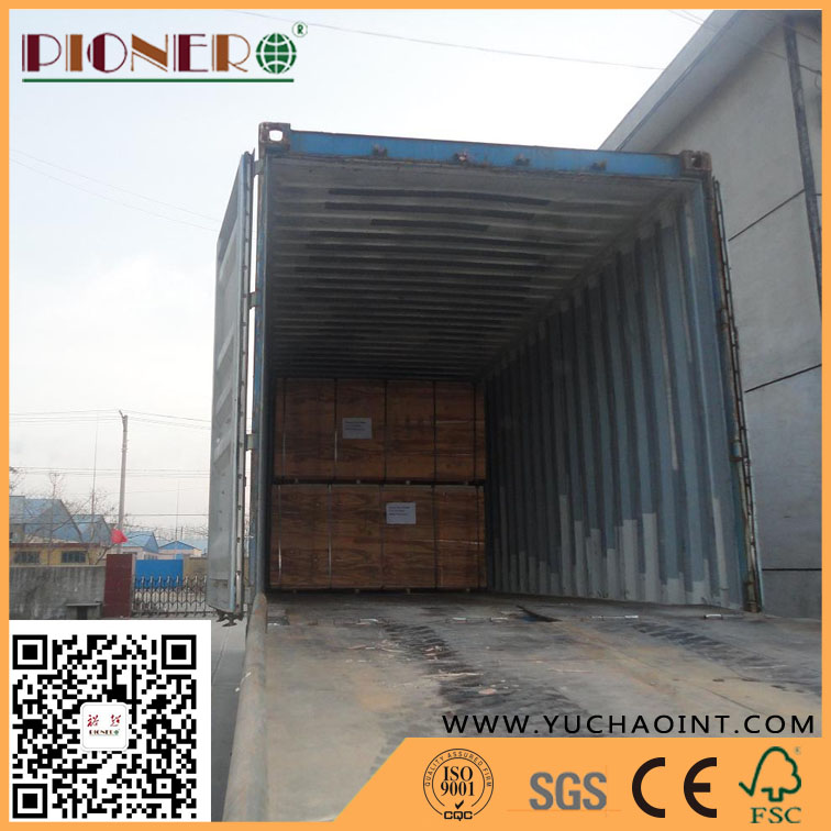 Fancy Plywood with Good Quality From Linyi Factory