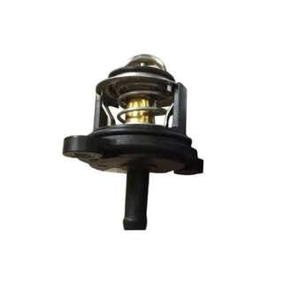  OEM CM5G-8575-HA/CA6G-8757-CA Termostato de refrigerante de refrigerante de motor de repuesto automático de alta calidad para Ford
