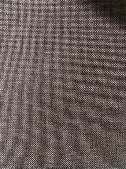 China Linen Fabric for Sofa and Home Textile
