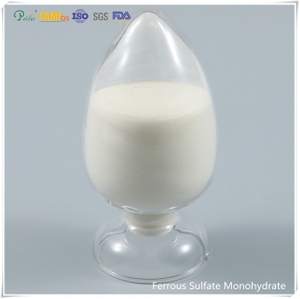 Sulfato ferroso monohidrato de alimentación en polvo/grado industrial