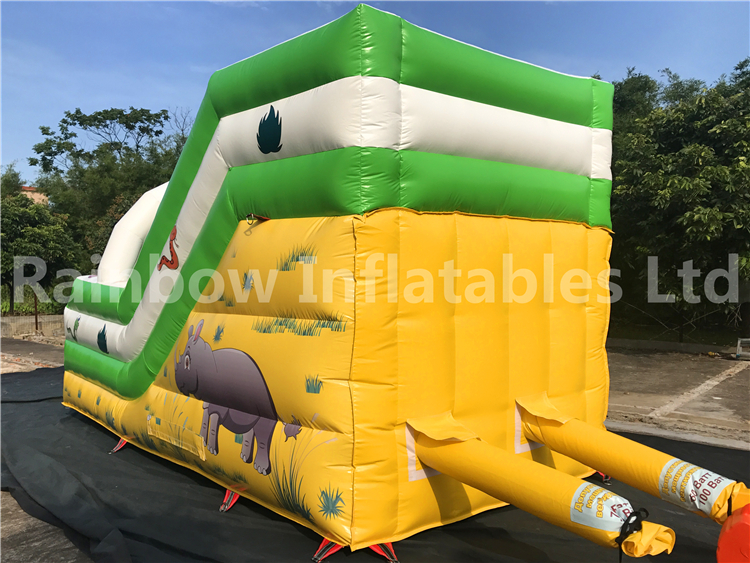 RB6105(5x2.5x3m) Inflatables Animal theme double slide