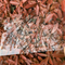 250 Micron Polished Polycarbonate Sheets