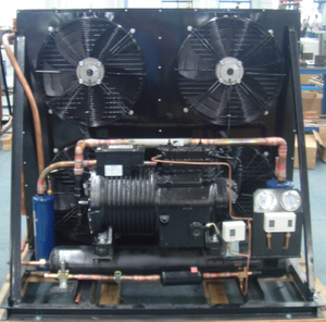 Unidade de condensação do compressor semi-hermético 15HP para armazenamento a frio