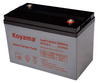 6V 200AH High Quality Deep Cycle Lead Carbon Battery NPC200-6