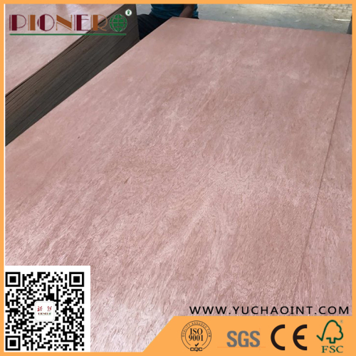 Bintangor Commercial Plywood for Door Decoration