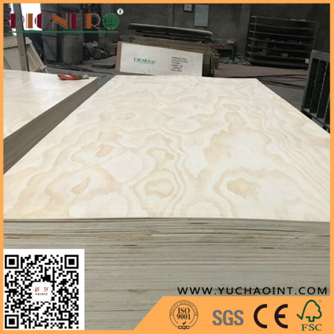 e1 glue radiate pine Poplar/Eucalyptus Core commercial plywood