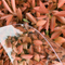 250 Micron Polished Polycarbonate Sheets