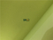 Flocking Packing Plastic Material Blister Tray Flocked Roll