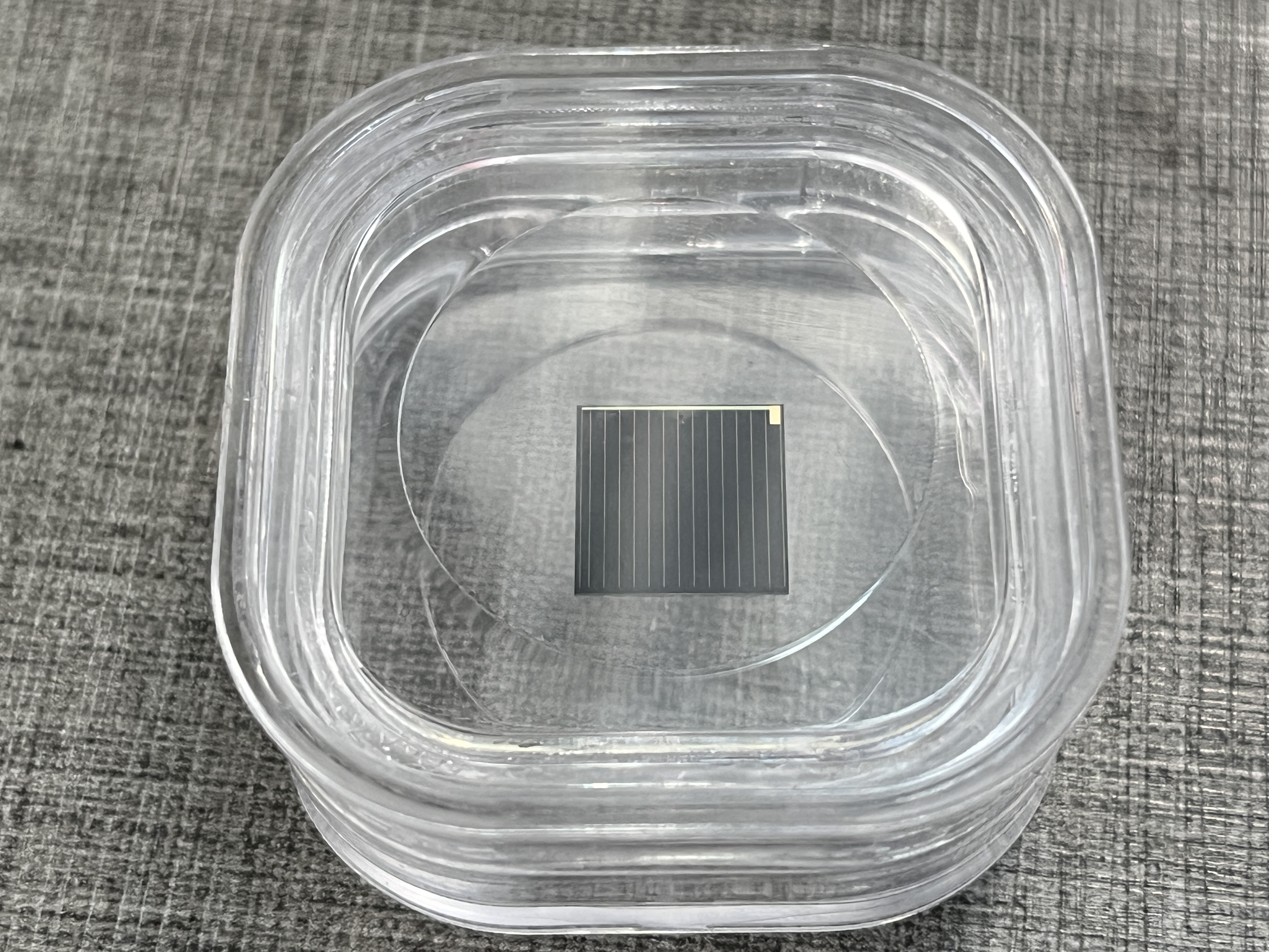 YIM's Efficient Micro Solar Cells: The Future of Bird Tracking YIM 的高效微型太阳能电池:鸟类追踪的未来