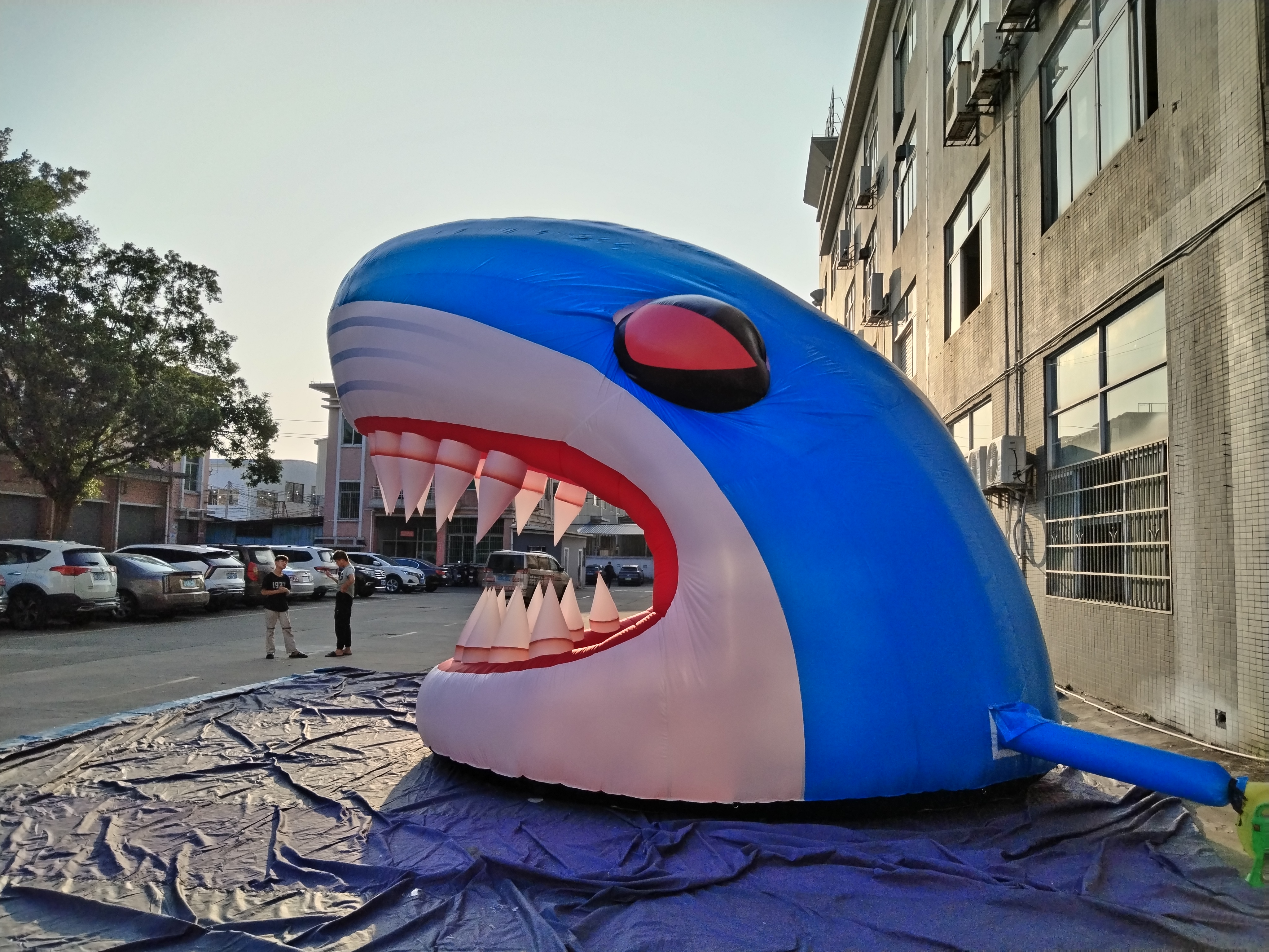 Inflatable shark head ornament