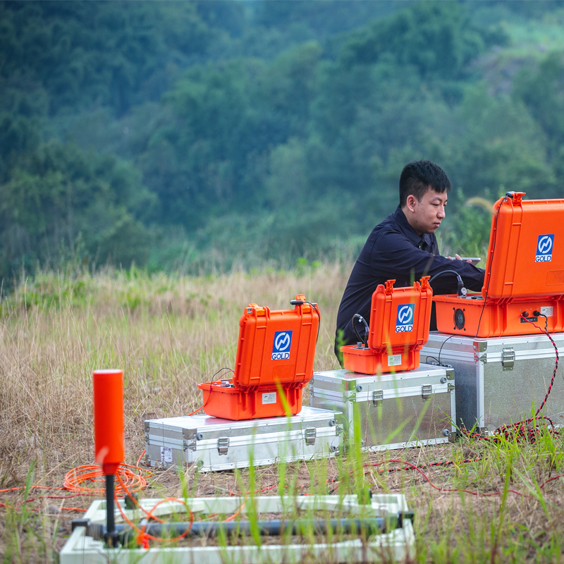 Accueille les clients iraniens pour une visite d'usine pour le système électromagnétique transitoire