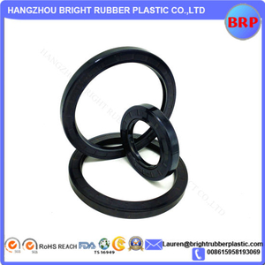 Double Lip Viton Rubber Metric Shaft Oil Seal with Spring