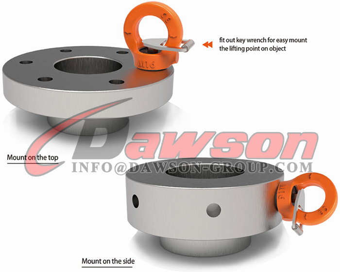 Aplica&ccedil;&atilde;o de ponto de olho chave DS084 G80, anel girat&oacute;rio tipo olho - Dawson Group Ltd. - Fabricante, fornecedor, f&aacute;brica na China