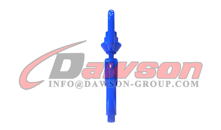 DS1007 G100 Gancho girat&oacute;rio de travamento autom&aacute;tico tipo europeu para eslingas de corrente de eleva&ccedil;&atilde;o de guindaste - Dawson Group Ltd. - Fornecedor, f&aacute;brica e fabricante na China