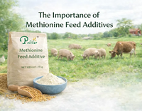 //a0.leadongcdn.com/cloud/liBqnKmmSRolmrokkikp/Feed-Additives-Methionine_703_550.png