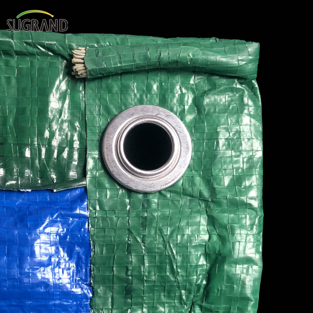 Lona de plástico impermeable PE azul-verde lona para la agricultura
