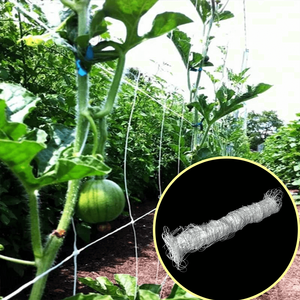 Red de apoyo para plantas Enrejado de jardín para plantas trepadoras al aire libre