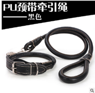 Nylon Leash