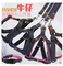 Pet Harness